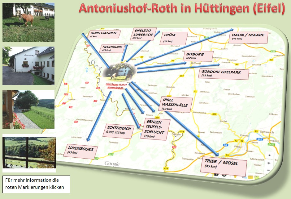 Urlaub auf dem Bauernhof in der Eifel auf dem Antoniushof in Hüttingen bei Lahr