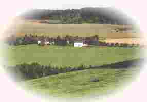 Urlaub auf dem Bauernhof in der Eifel auf dem Antoniushof in Hüttingen bei Lahr